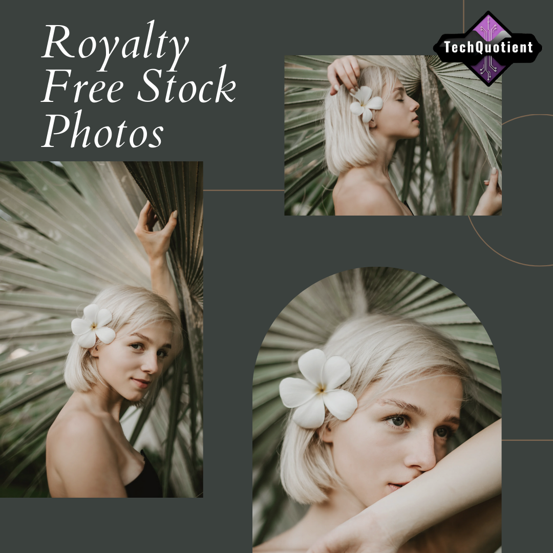 Royalty-Free Images